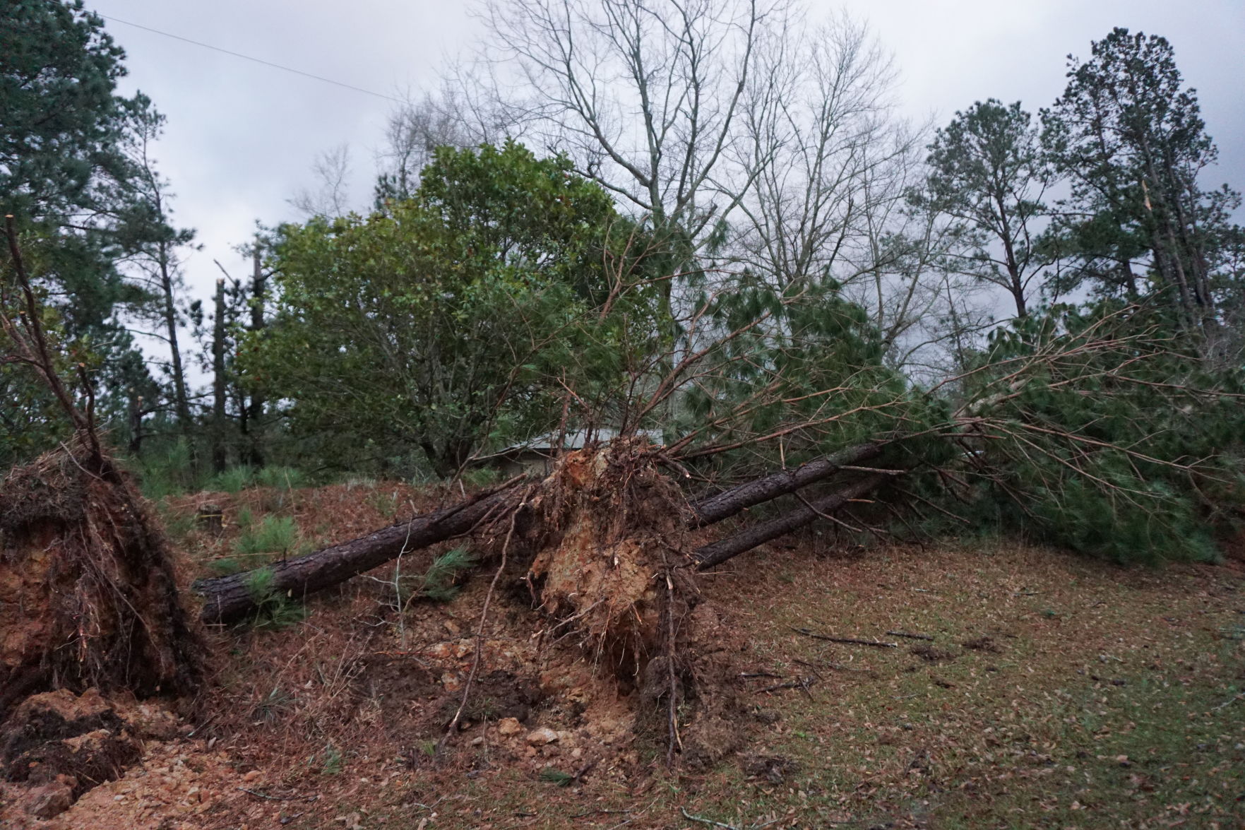 Tornado damage in Beauregard